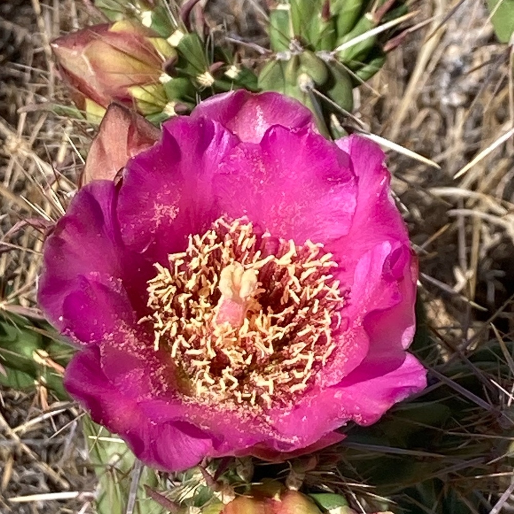 Meet your Posher, Posh